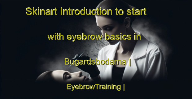 Skinart Introduction to start with eyebrow basics in Bugardsbodarna | EyebrowTraining | EyebrowClasses | SkinartTraining-Sweden
